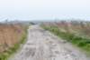 terschelling2022_143_small.jpg