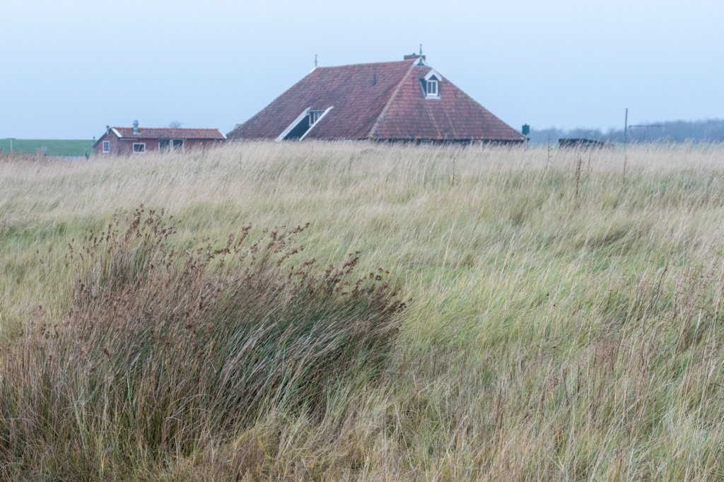 terschelling2022_144.jpg