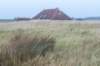 terschelling2022_144_small.jpg