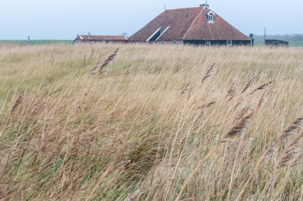 terschelling2022_145.jpg