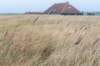 terschelling2022_145_small.jpg