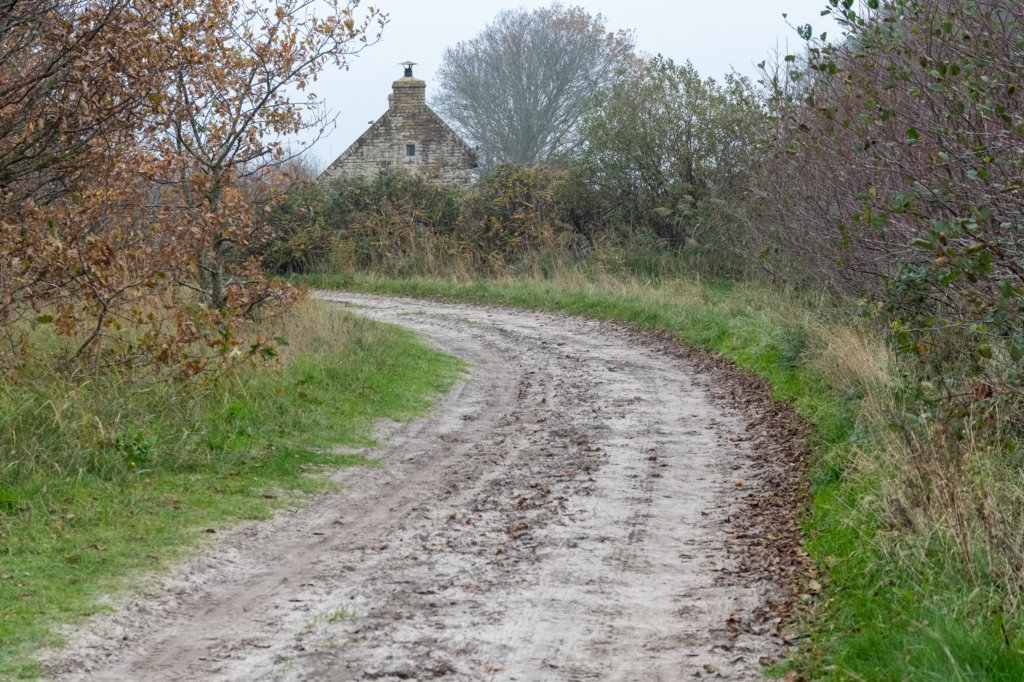terschelling2022_147.jpg