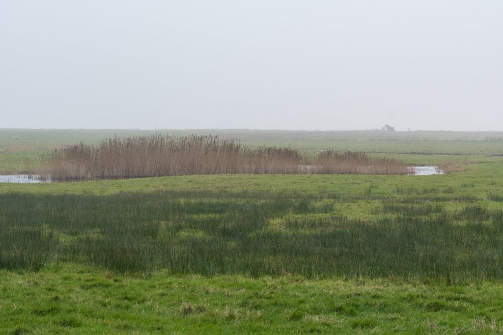 terschelling2022_151.jpg