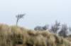 terschelling2022_152_small.jpg