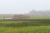 terschelling2022_153_small.jpg