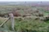 terschelling2022_154_small.jpg