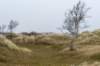 terschelling2022_155_small.jpg