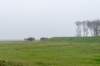 terschelling2022_156_small.jpg