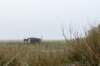 terschelling2022_157_small.jpg