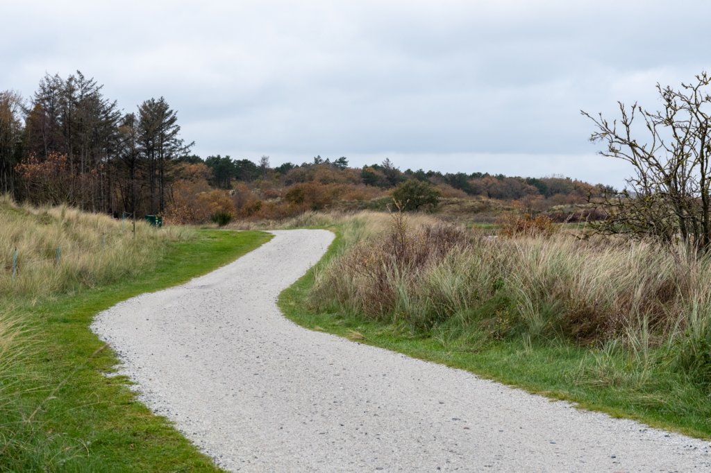 terschelling2022_161.jpg