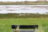 terschelling2022_162_small.jpg
