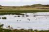 terschelling2022_163_small.jpg