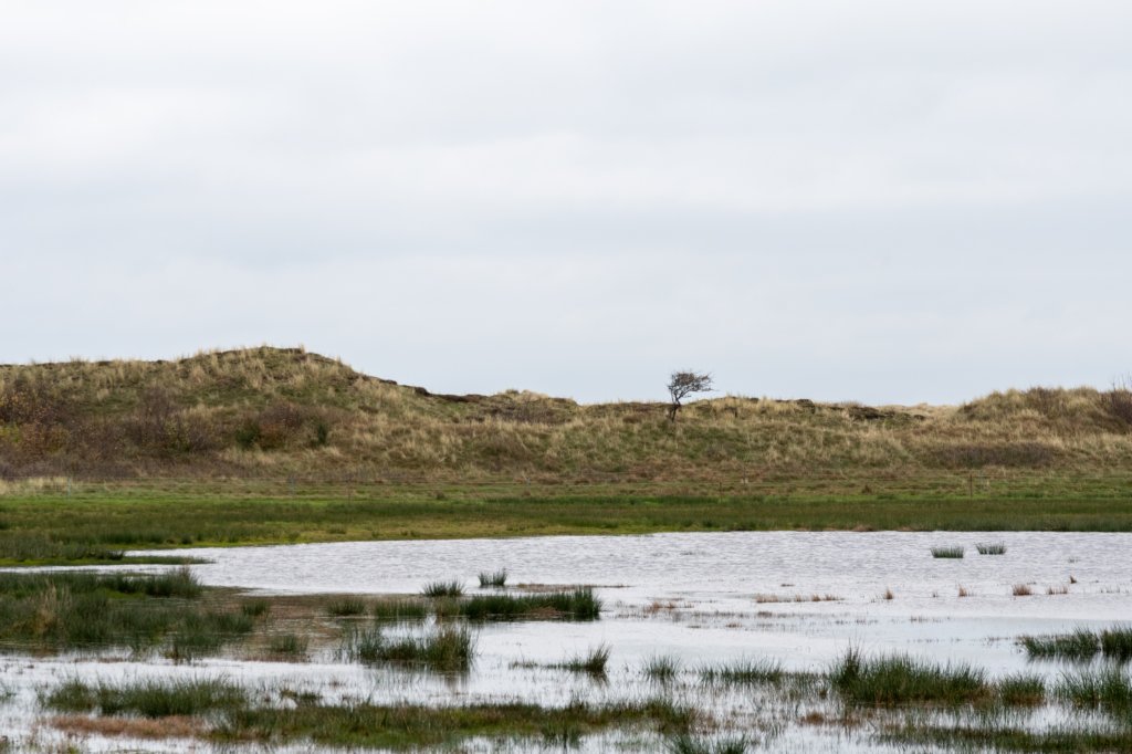 terschelling2022_164.jpg
