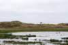 terschelling2022_164_small.jpg
