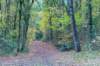 terschelling2022_165_small.jpg