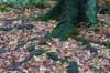 terschelling2022_170_small.jpg