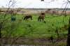 terschelling2022_171_small.jpg