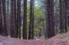 terschelling2022_178_small.jpg