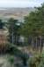 terschelling2022_197_small.jpg