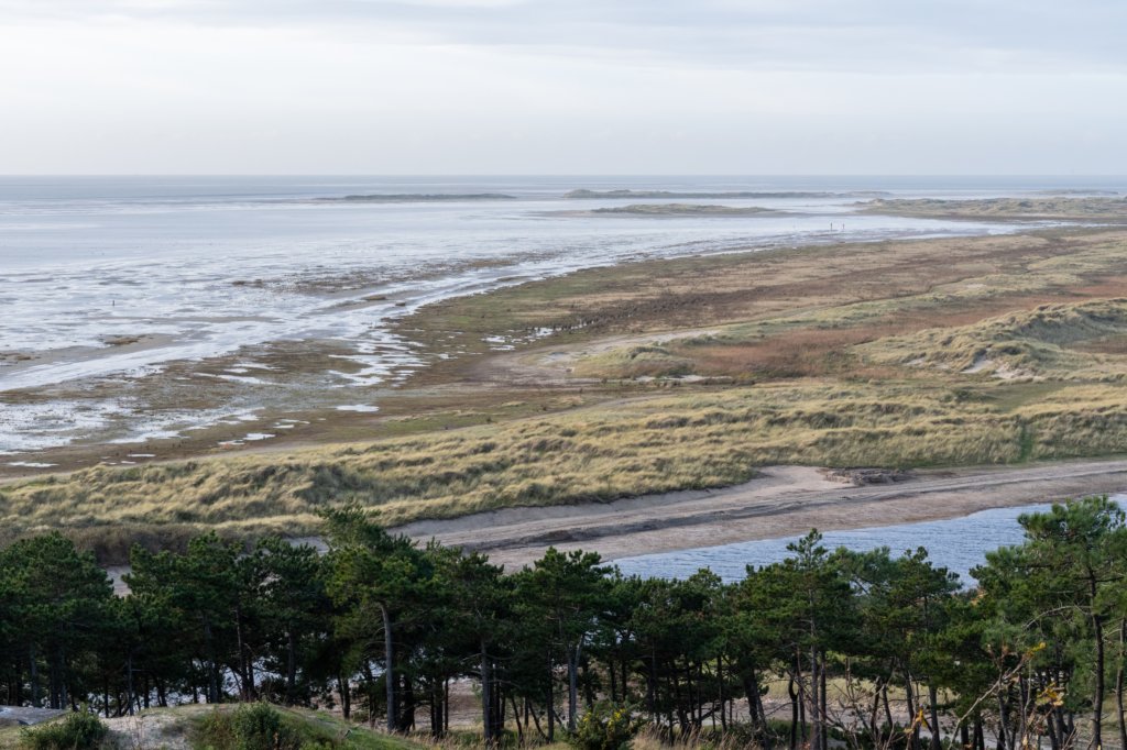 terschelling2022_199.jpg