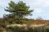 terschelling2022_206_small.jpg