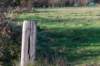 terschelling2022_215_small.jpg