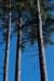 terschelling2022_221_small.jpg