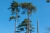 terschelling2022_225_small.jpg