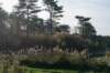 terschelling2022_226_small.jpg