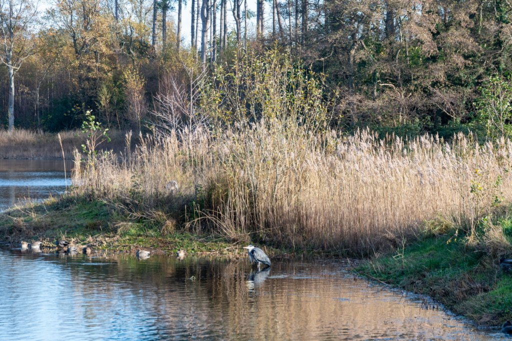 terschelling2022_228.jpg