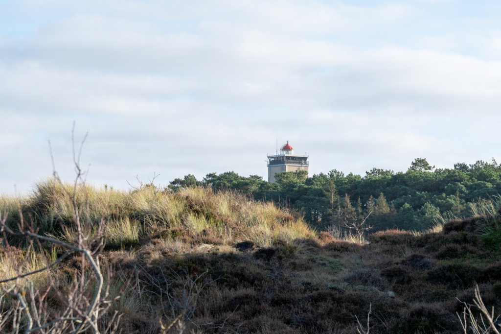 terschelling2022_231.jpg