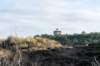 terschelling2022_231_small.jpg