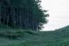 terschelling2022_232_small.jpg