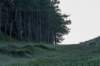 terschelling2022_233_small.jpg
