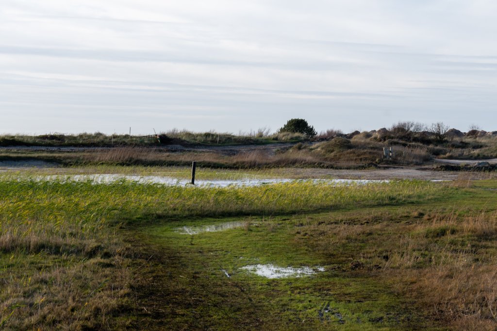 terschelling2022_235.jpg