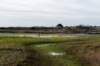 terschelling2022_235_small.jpg