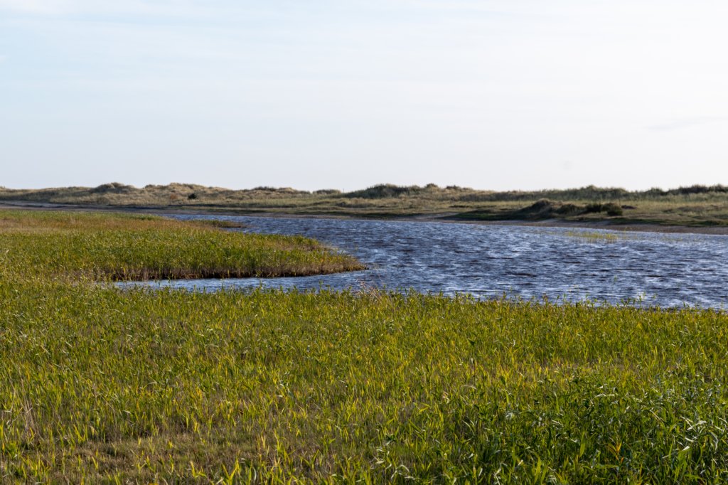 terschelling2022_236.jpg