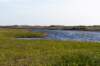 terschelling2022_236_small.jpg