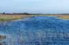 terschelling2022_237_small.jpg