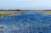 terschelling2022_238_small.jpg