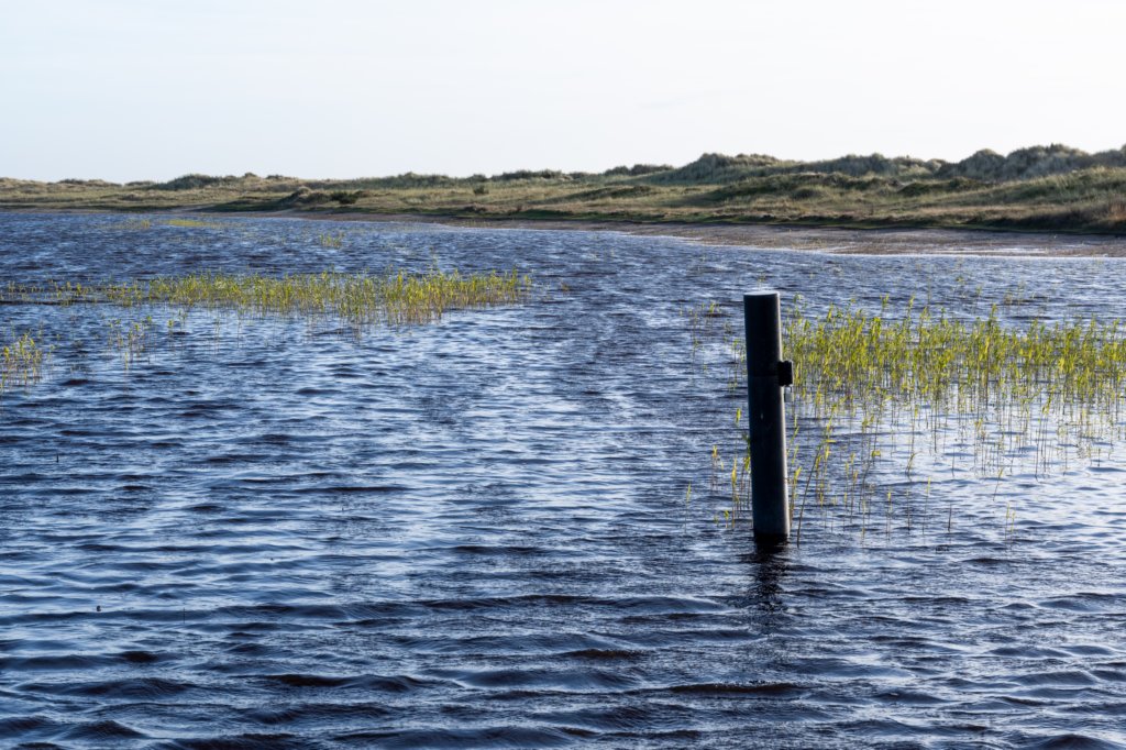 terschelling2022_239.jpg