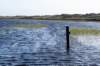 terschelling2022_239_small.jpg
