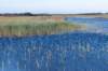 terschelling2022_240_small.jpg