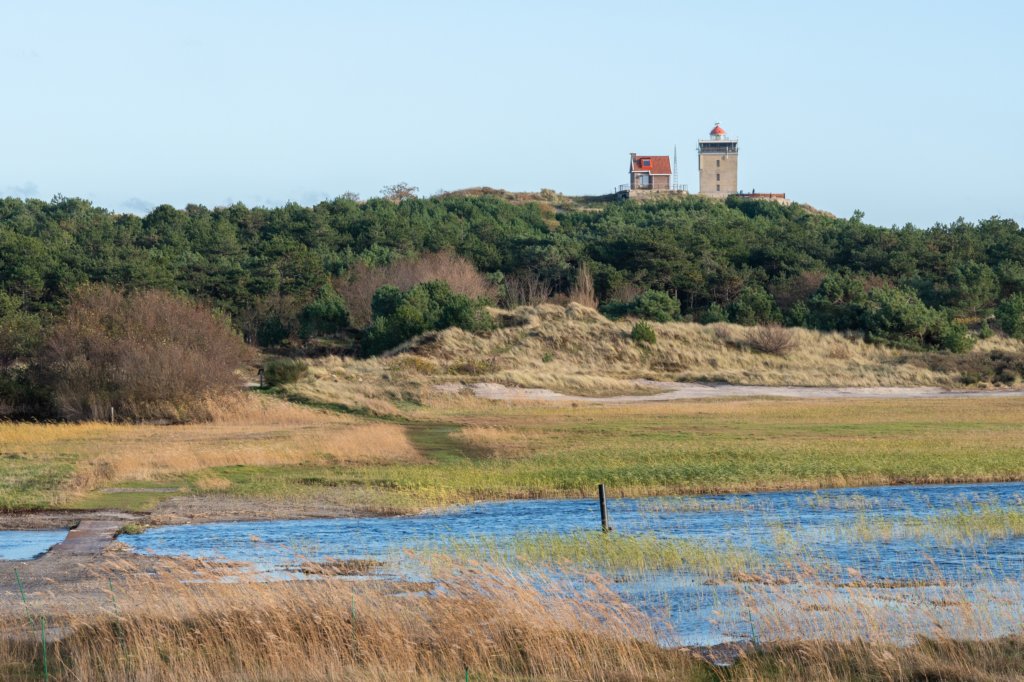 terschelling2022_241.jpg