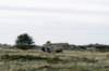 terschelling2022_243_small.jpg