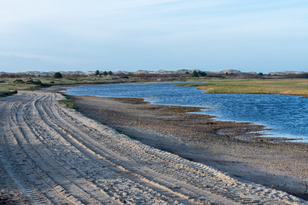 terschelling2022_246.jpg