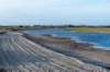 terschelling2022_246_small.jpg