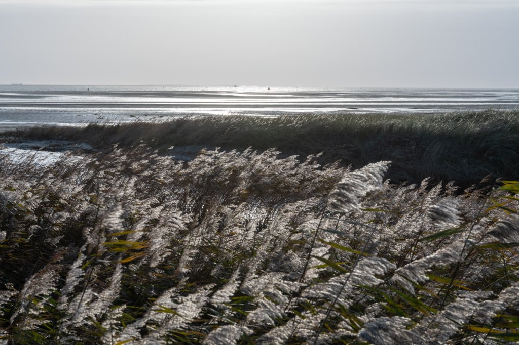 terschelling2022_250.jpg