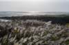 terschelling2022_250_small.jpg
