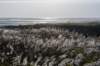terschelling2022_251_small.jpg